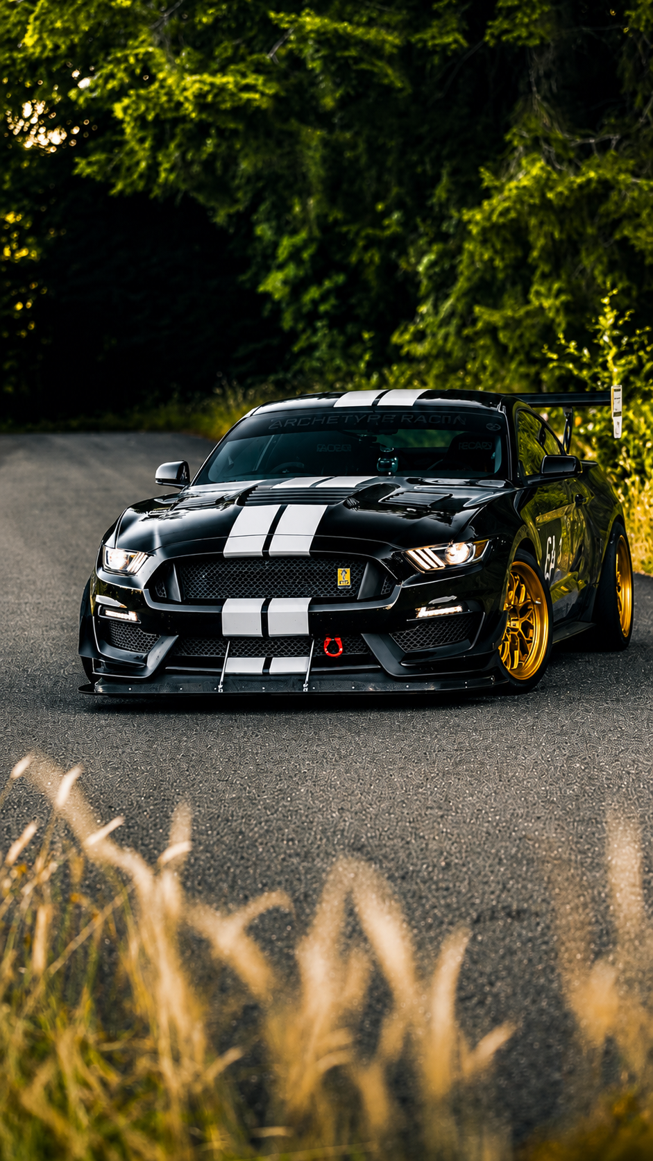 MUSTANG