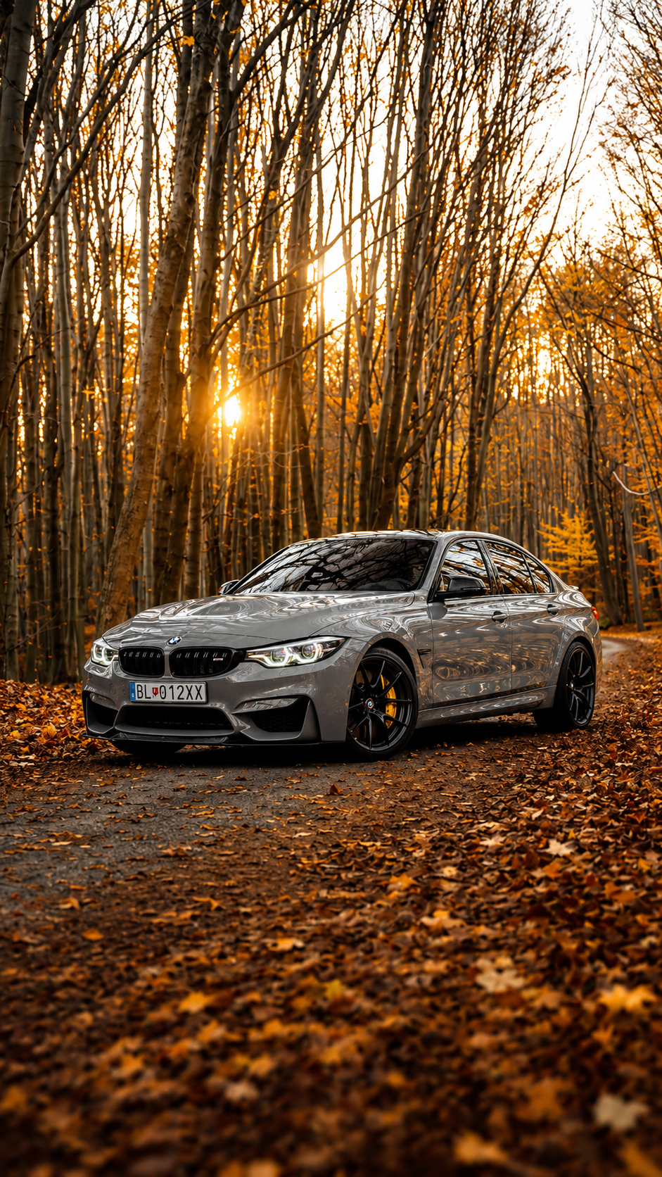 BMW F80
